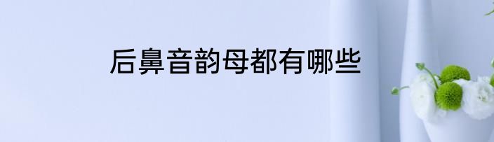 后鼻音韵母都有哪些