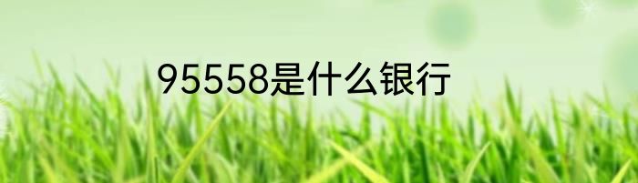 95558是什么银行