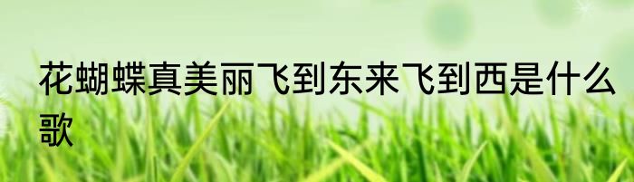 花蝴蝶真美丽飞到东来飞到西是什么歌