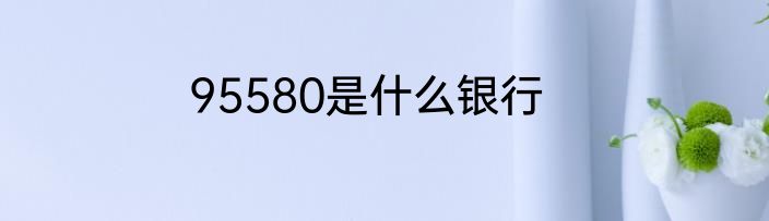 95580是什么银行