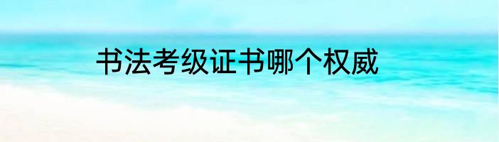 书法考级证书哪个权威