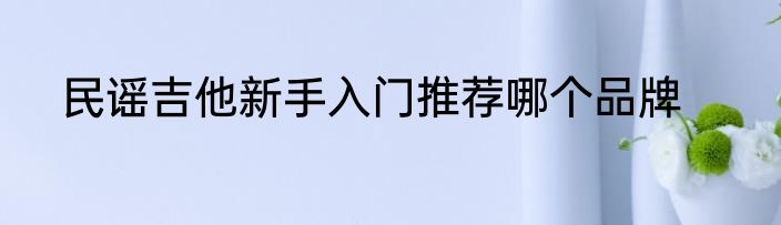 民谣吉他新手入门推荐哪个品牌