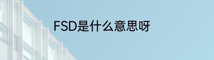 FSD是什么意思呀
