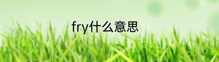 fry什么意思