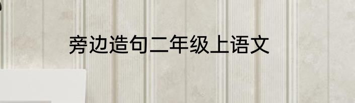 旁边造句二年级上语文