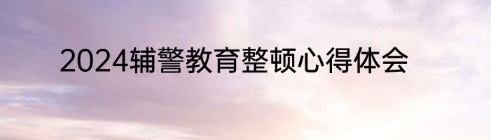 2024辅警教育整顿心得体会