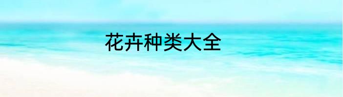 花卉种类大全