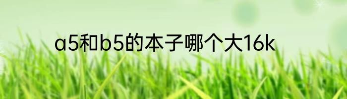 a5和b5的本子哪个大16k