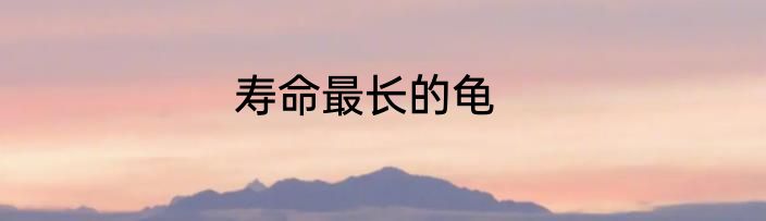 寿命最长的龟