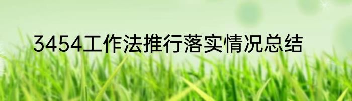 3454工作法推行落实情况总结