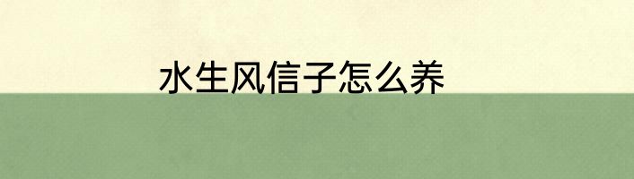 水生风信子怎么养