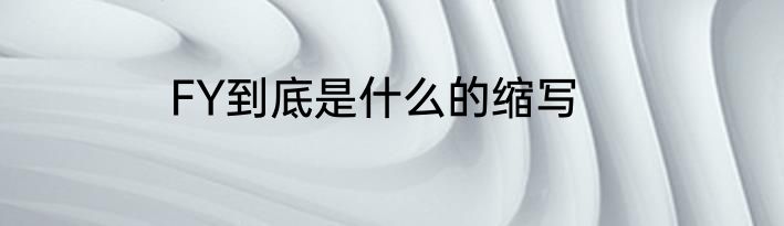FY到底是什么的缩写