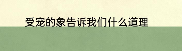 受宠的象告诉我们什么道理
