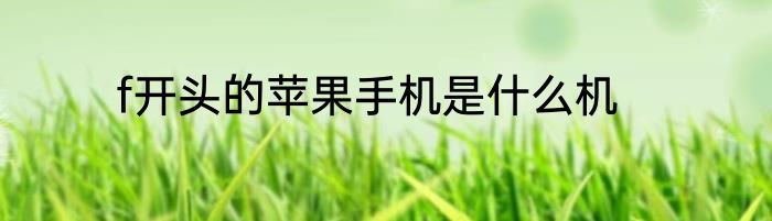 f开头的苹果手机是什么机