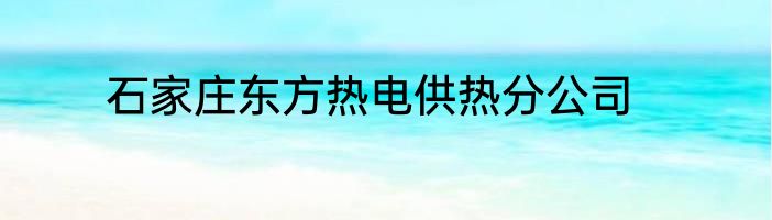 石家庄东方热电供热分公司