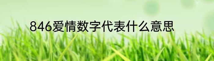 846爱情数字代表什么意思