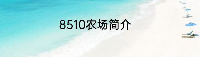 8510农场简介