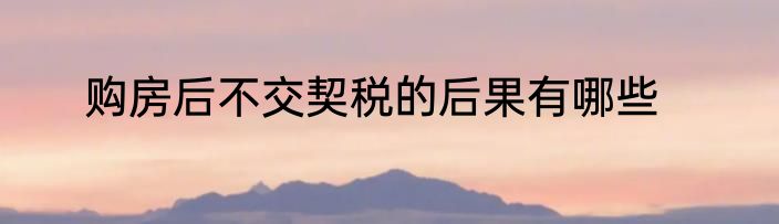 购房后不交契税的后果有哪些