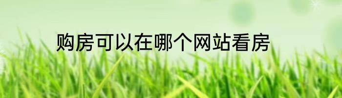 购房可以在哪个网站看房