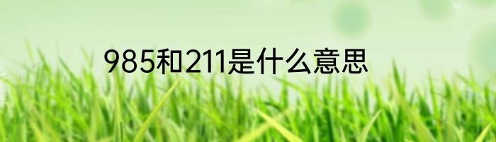 985和211是什么意思