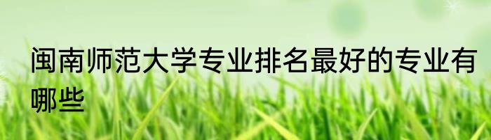 闽南师范大学专业排名最好的专业有哪些