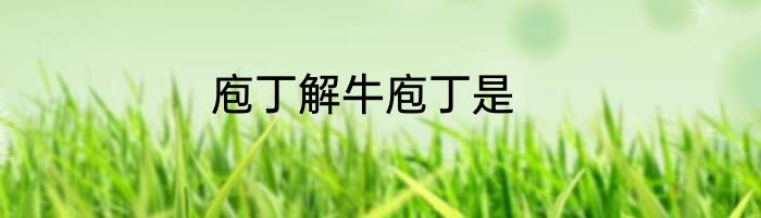 庖丁解牛庖丁是