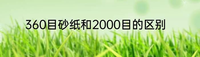 360目砂纸和2000目的区别
