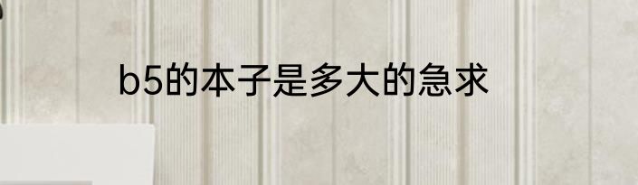 b5的本子是多大的急求