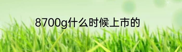 8700g什么时候上市的