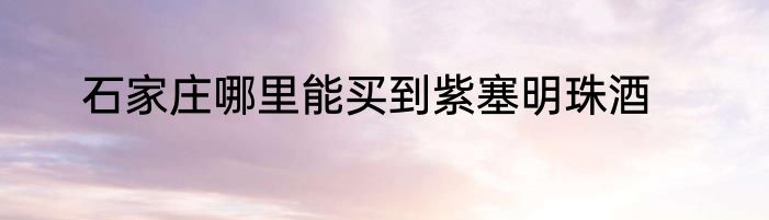 石家庄哪里能买到紫塞明珠酒