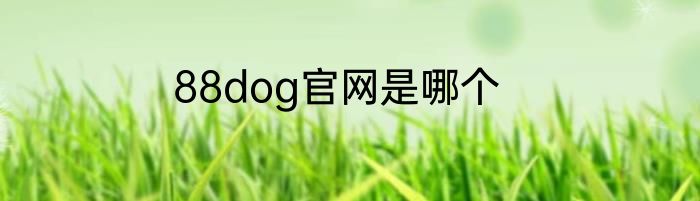88dog官网是哪个