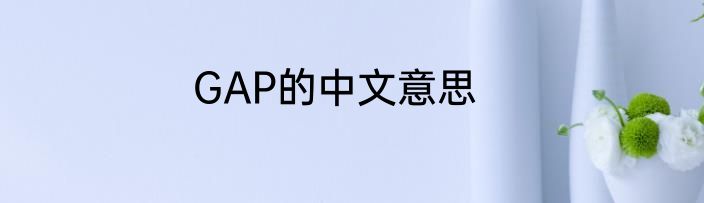 GAP的中文意思