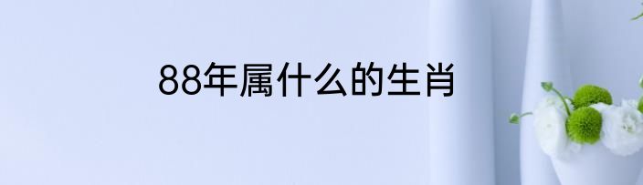 88年属什么的生肖