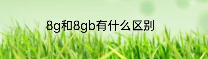 8g和8gb有什么区别
