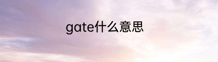 gate什么意思