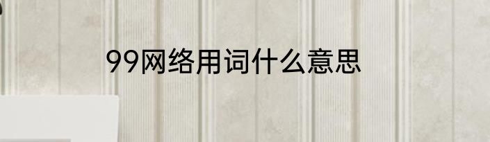 99网络用词什么意思