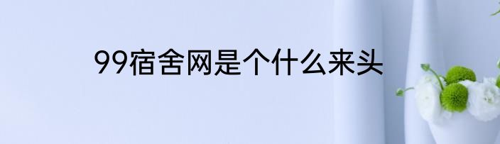 99宿舍网是个什么来头