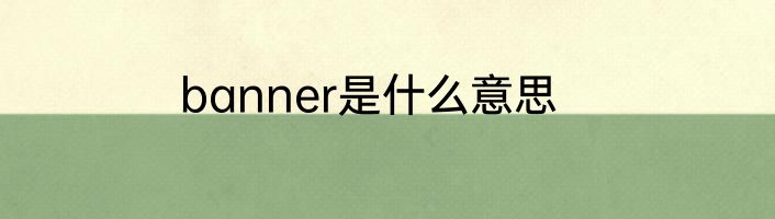 banner是什么意思