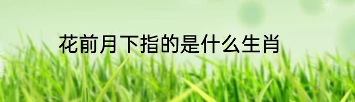 花前月下指的是什么生肖
