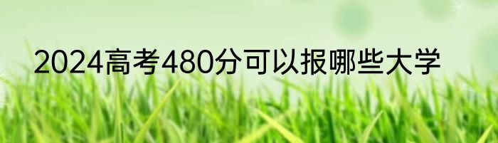 2024高考480分可以报哪些大学