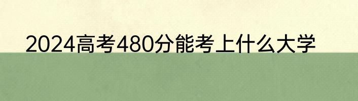 2024高考480分能考上什么大学
