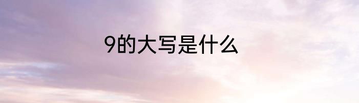 9的大写是什么