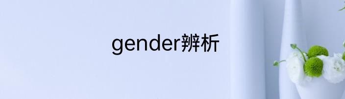 gender辨析