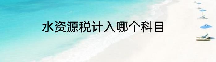 水资源税计入哪个科目