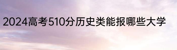 2024高考510分历史类能报哪些大学