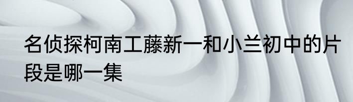 名侦探柯南工藤新一和小兰初中的片段是哪一集