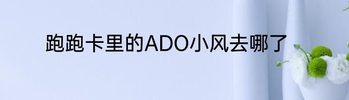 跑跑卡里的ADO小风去哪了