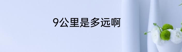 9公里是多远啊