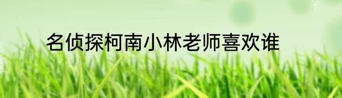 名侦探柯南小林老师喜欢谁