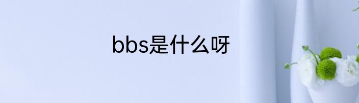 bbs是什么呀